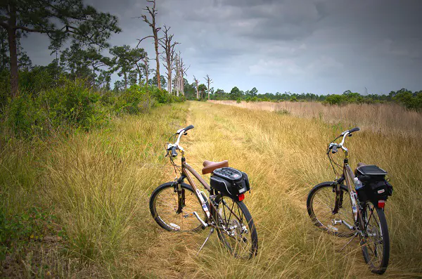  foto bicicletas